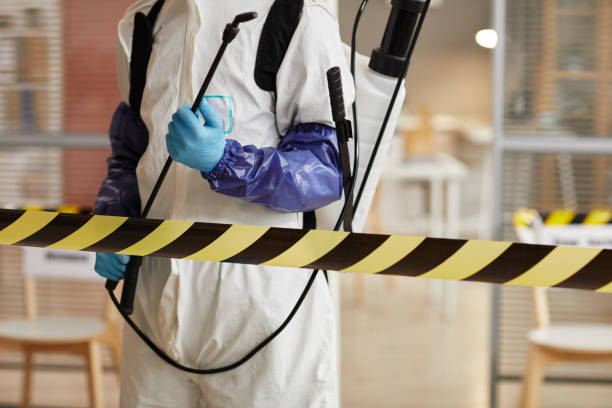 Professional Blood Cleanup technician working in Rochester, WA