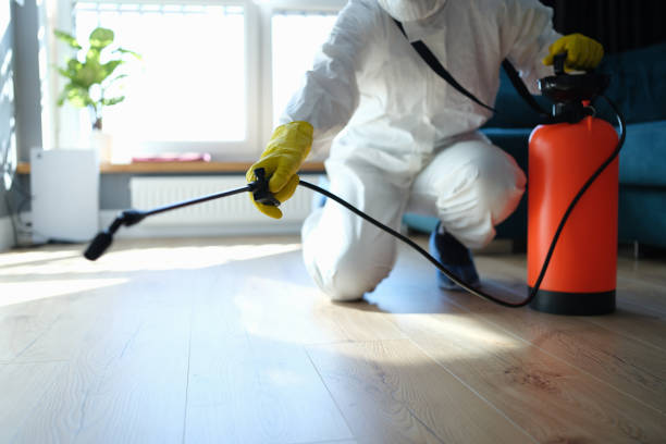 Trusted Trauma Scene Cleanup service in Rochester, WA - Four Month Blood Cleanse